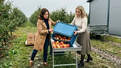 Rok 2025 w sadach: trzy sprawy, które najmocniej zaważyły na sezonie